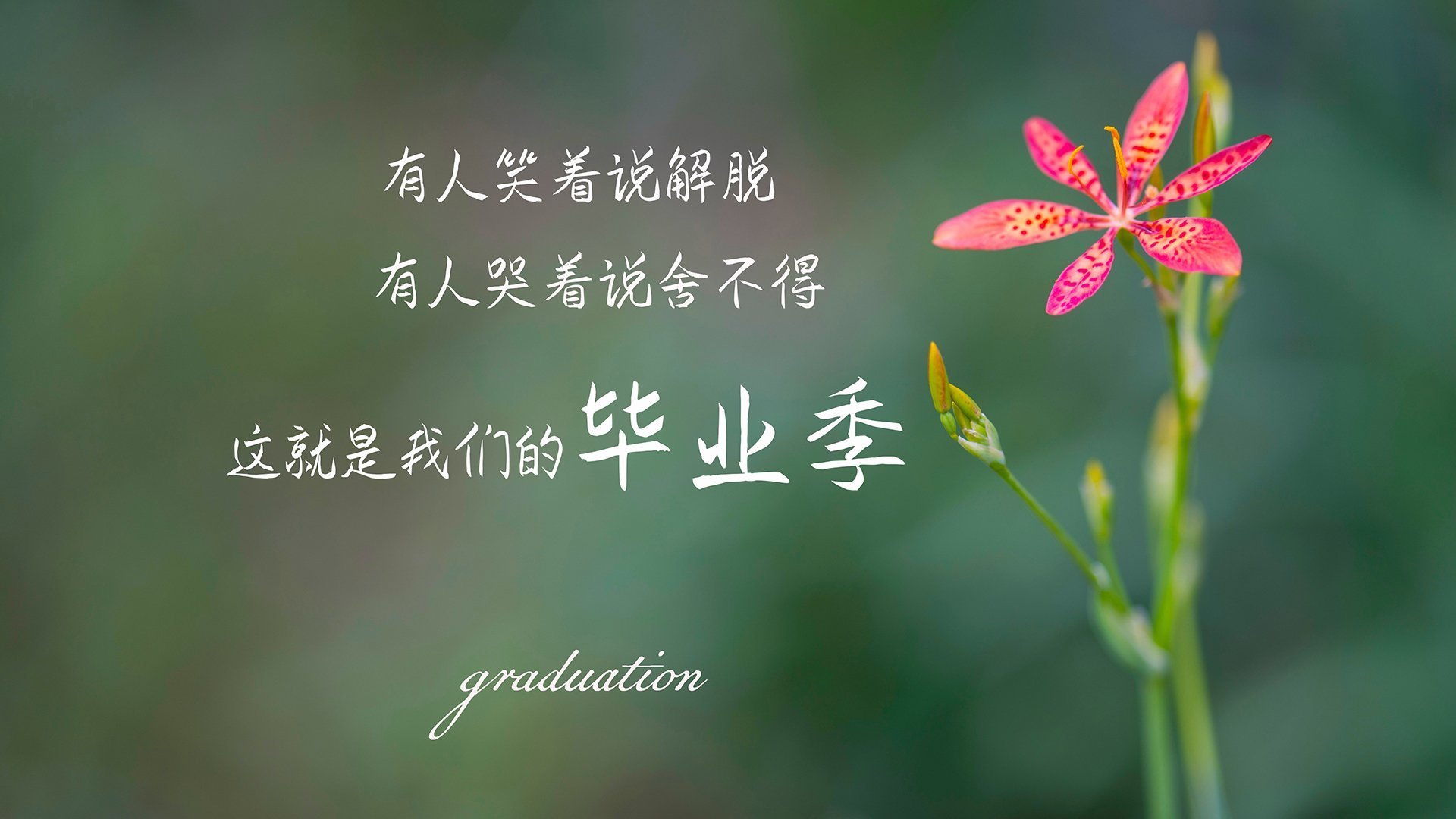 开云网页版登录入口-_湖人精神焕发，迎来连胜高潮_，湖人lbj