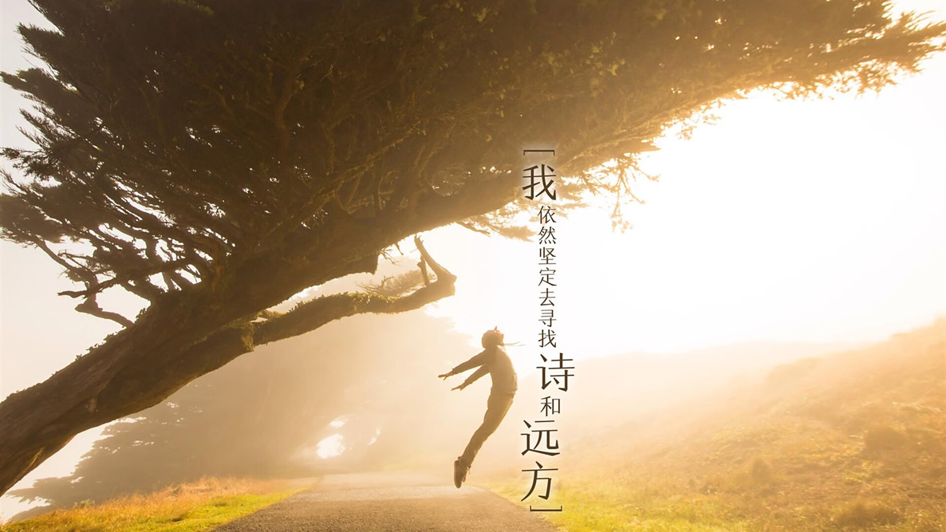 kaiyun体育app-【击球打法升级】现代打击战术如何应对高速投球？