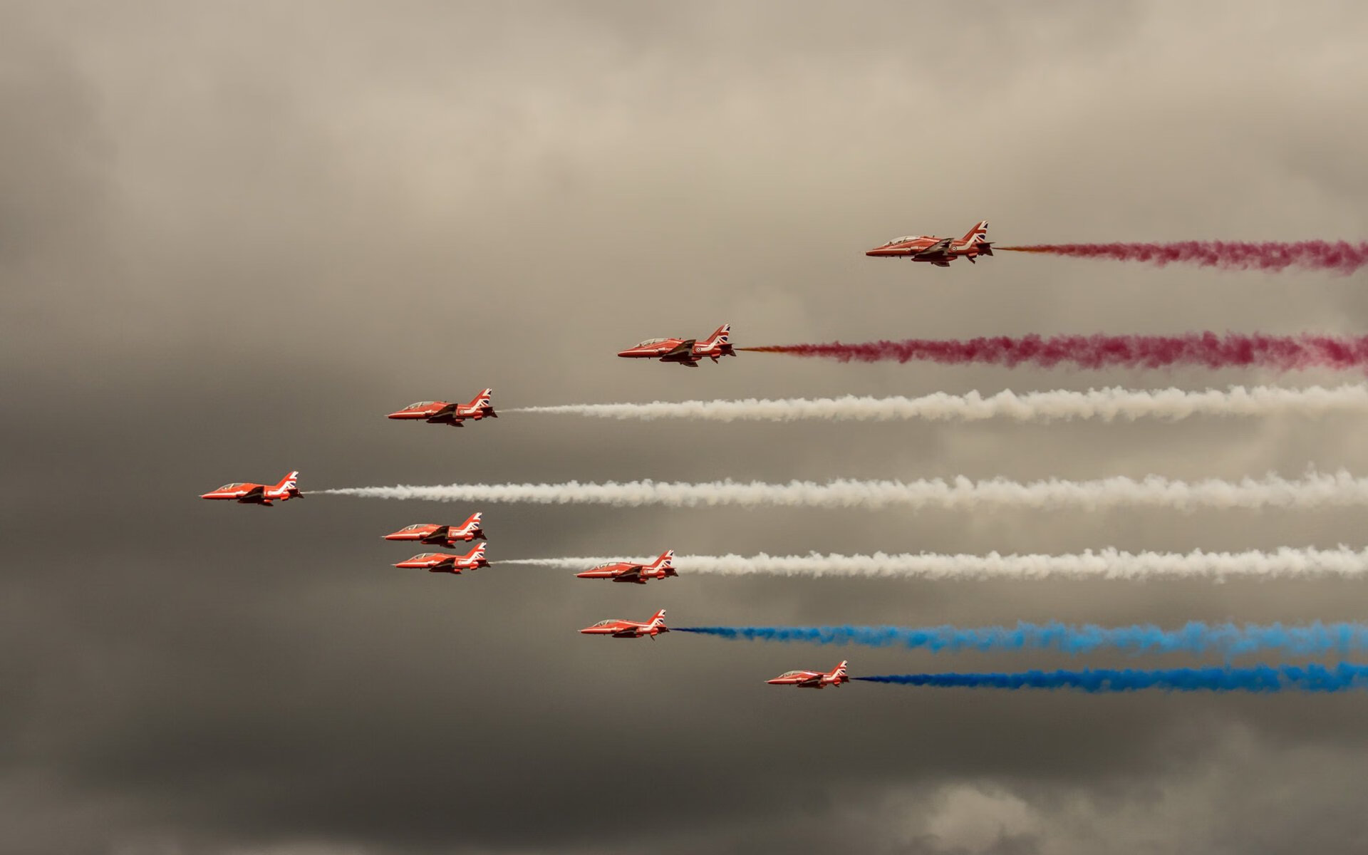 布莱顿在英超联赛中排名第五，获得欧联杯资格，英超布莱顿队徽