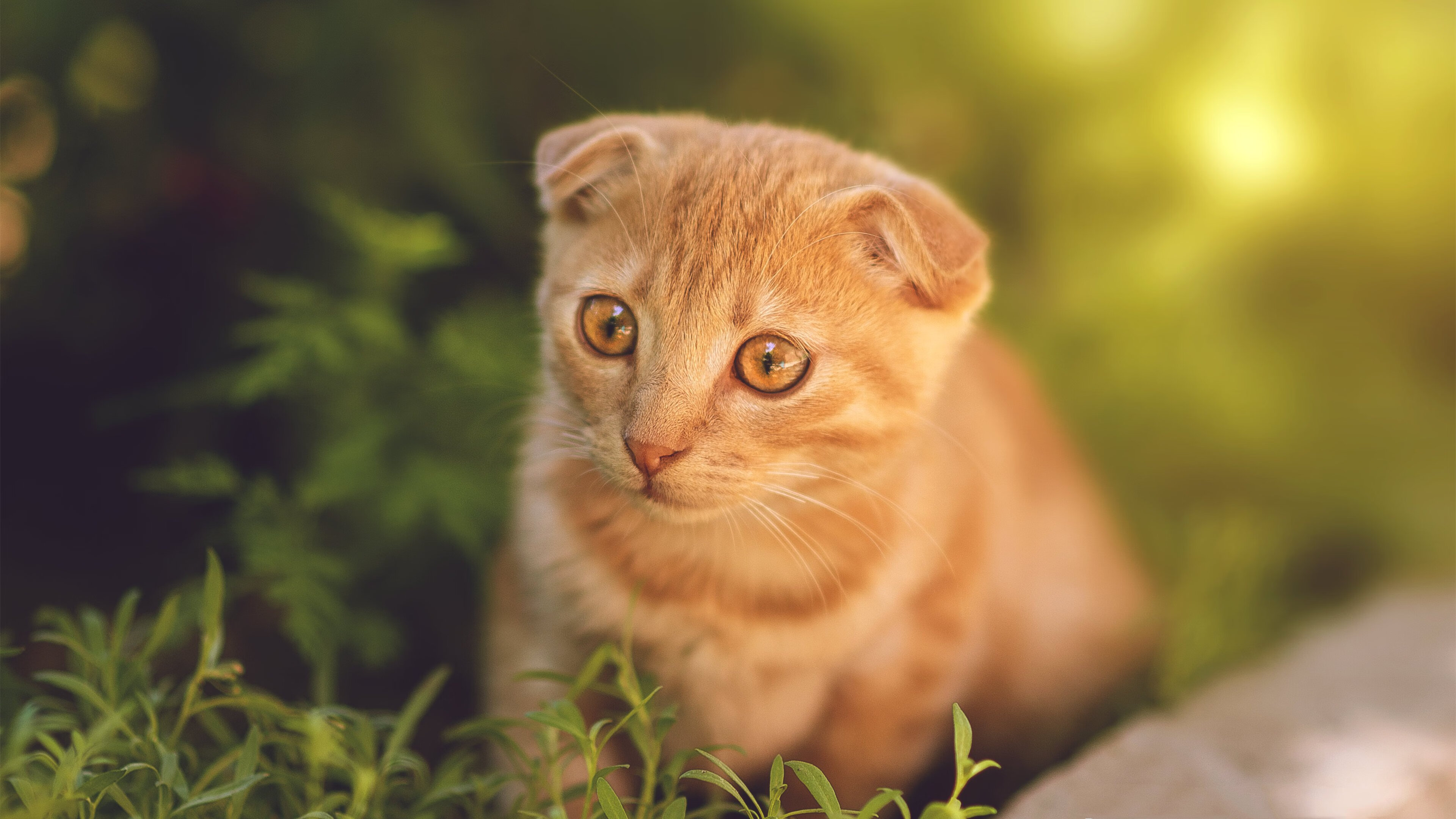电竞比赛中的个人能力：技术精湛，操作娴熟，电竞比赛术语
