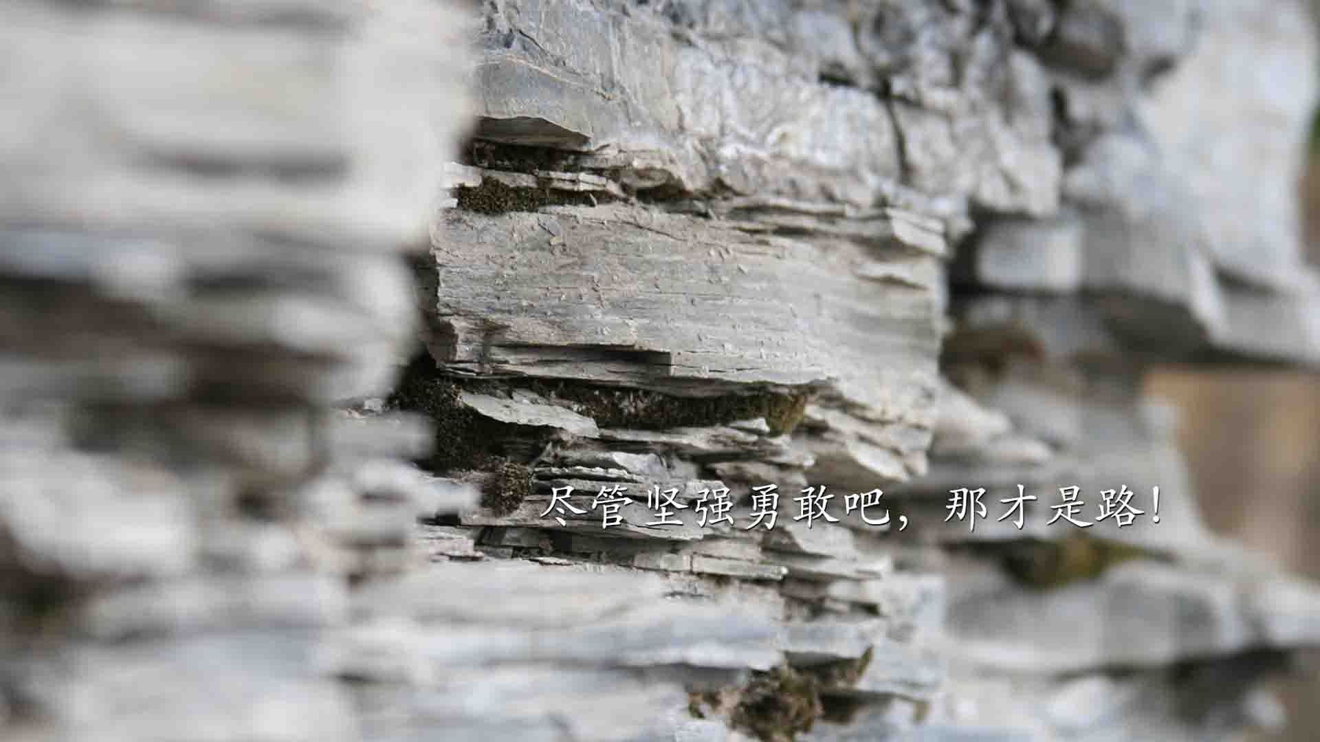 英超：曼城在补时阶段绝杀阿森纳，争冠形势变数增多，联赛杯曼城对阿森纳