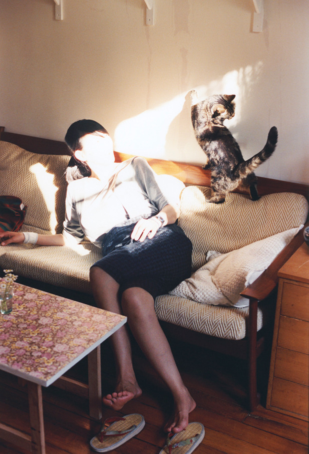 Aster积分排名领先赛区，nest积分榜