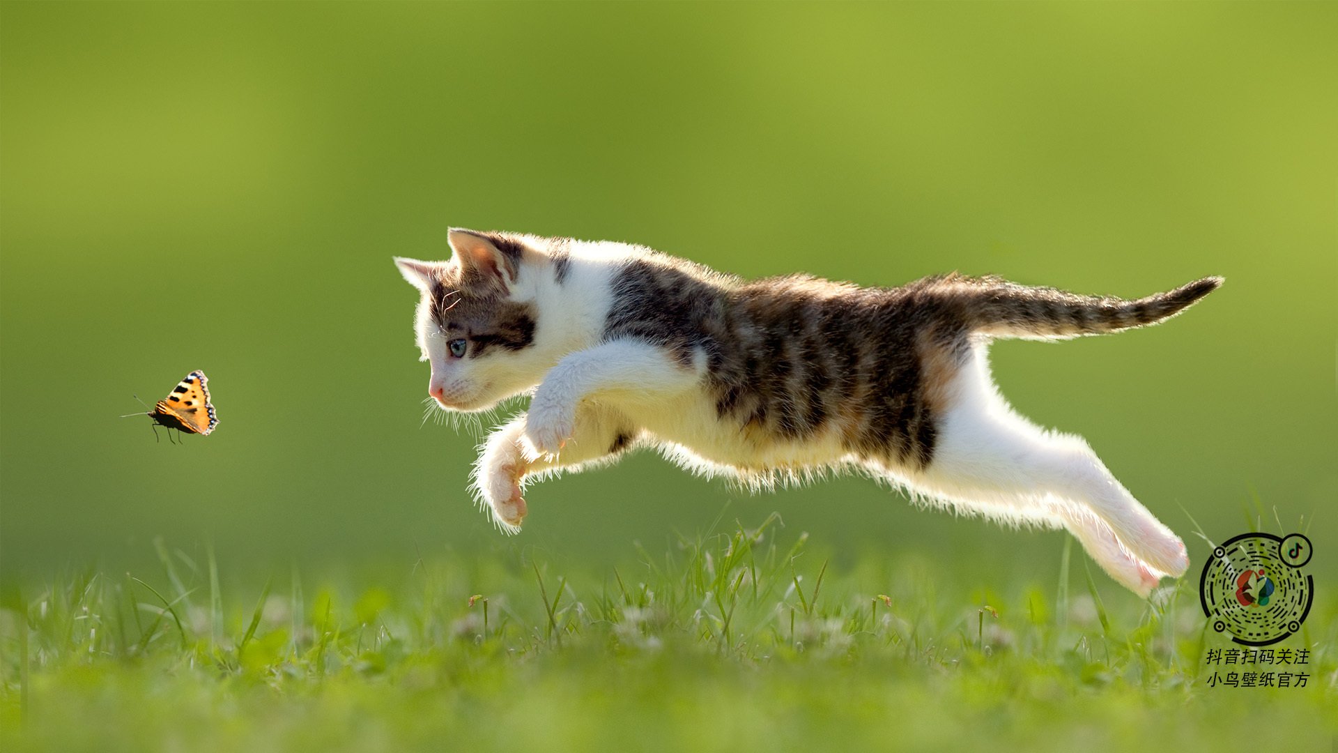 开云官网APP下载-JDG团队举办电竞心理健康主题讲座，电竞心理现象