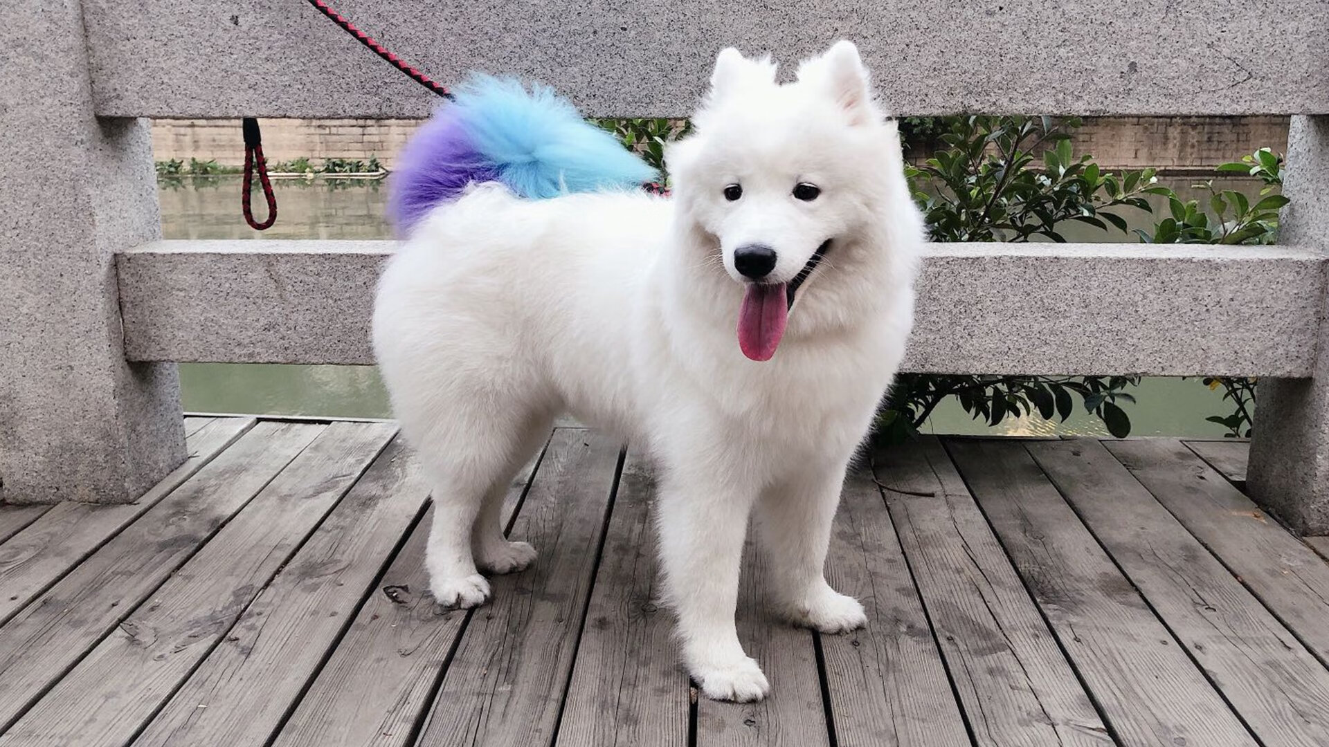 开云官方网页登录-全北现代积分榜名次上升，全北现代实力如何