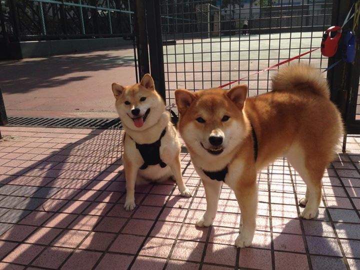 开云中国大陆-国足二线球员展现惊喜表现，国足二哥是谁