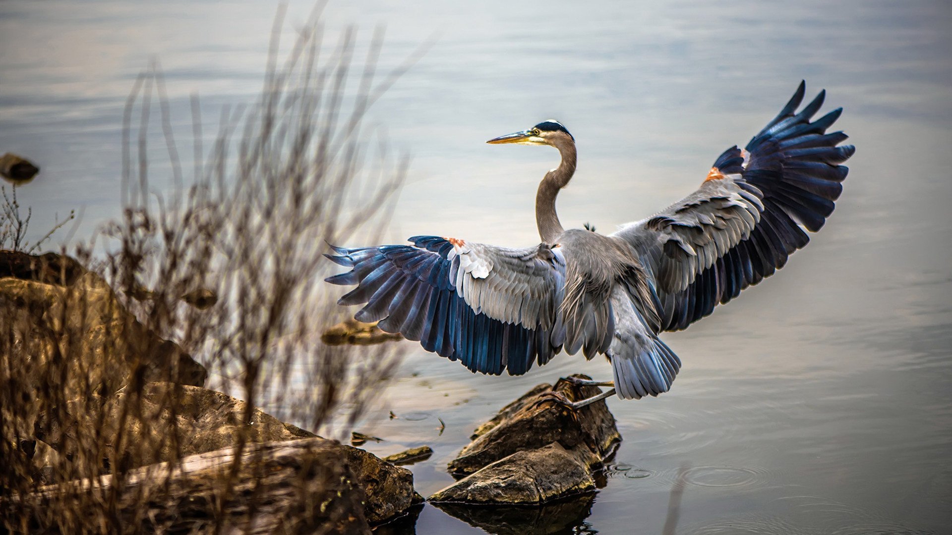 Kaiyun官方登录入口-女子篮球亚洲杯开幕，中国首战大胜新加坡，女子篮球亚洲杯2021