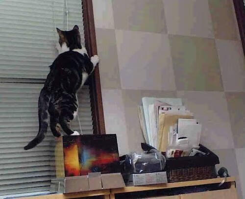 女足国家队攻防体系日益成熟,女足国家队攻防体系日益成熟的原因