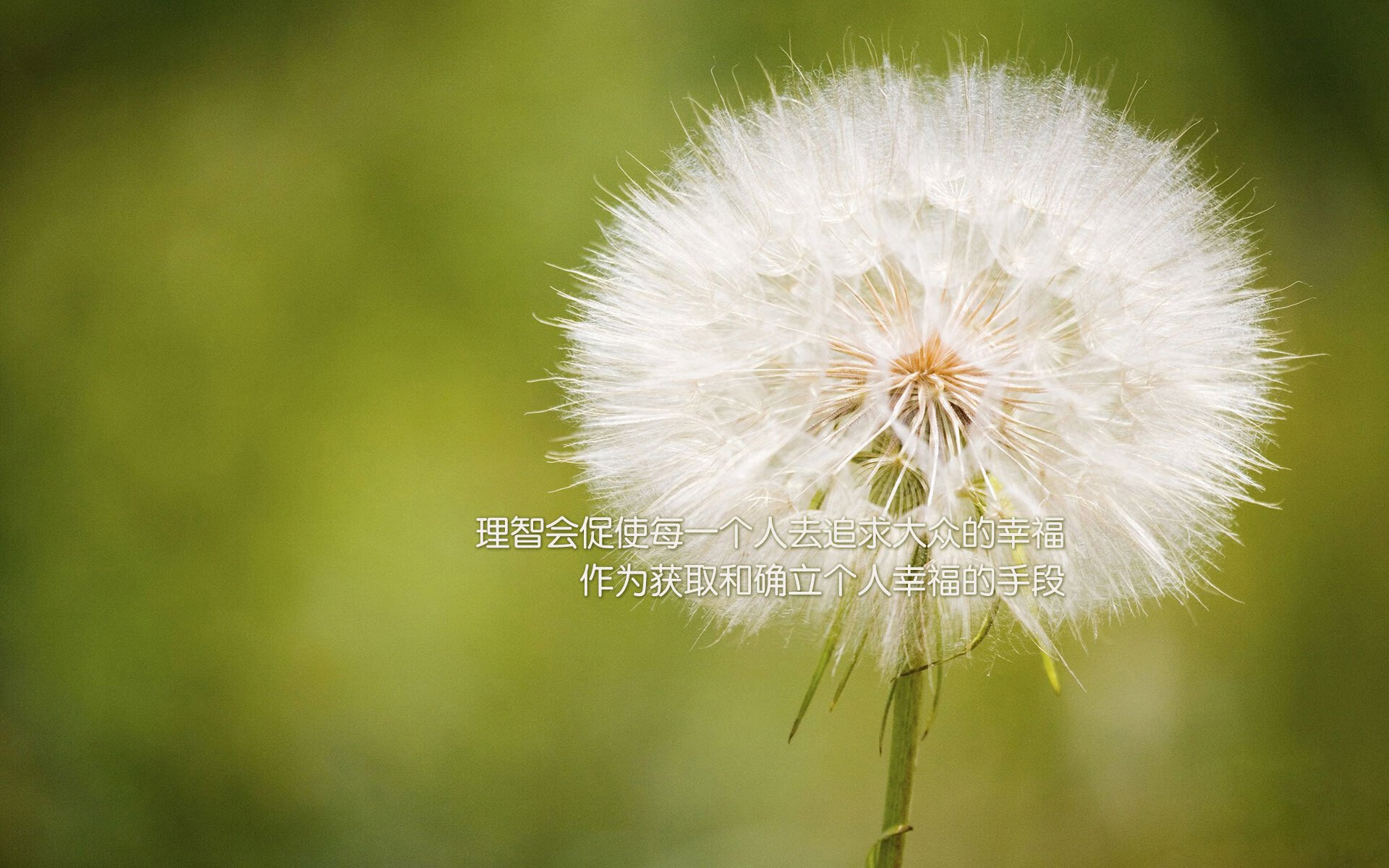 开云官网-皇家社会俱乐部与球员卡纳 opinion 纳斯续约成功，皇家社会著名球员