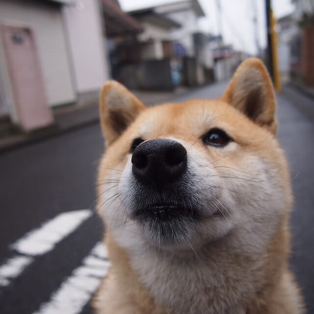 腾讯布局电竞赛事生态链,腾讯旗下的电子竞技俱乐部