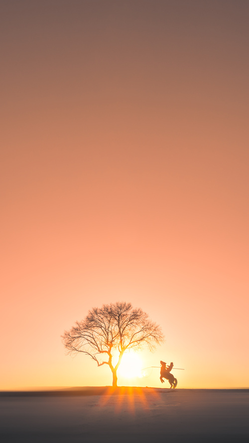 足球大赛风云再起,球队实力对垒激烈,足球 大赛