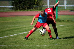 kaiyun中国官方网站-体育赛事志愿者管理及培训体系建设，体育赛事志愿者的工作要求