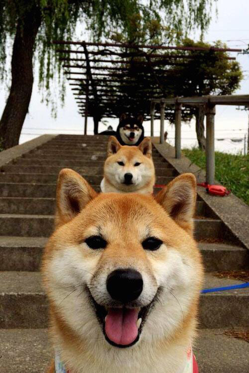 数字化转型：大数据如何影响足球战术决策，大数据ai足球