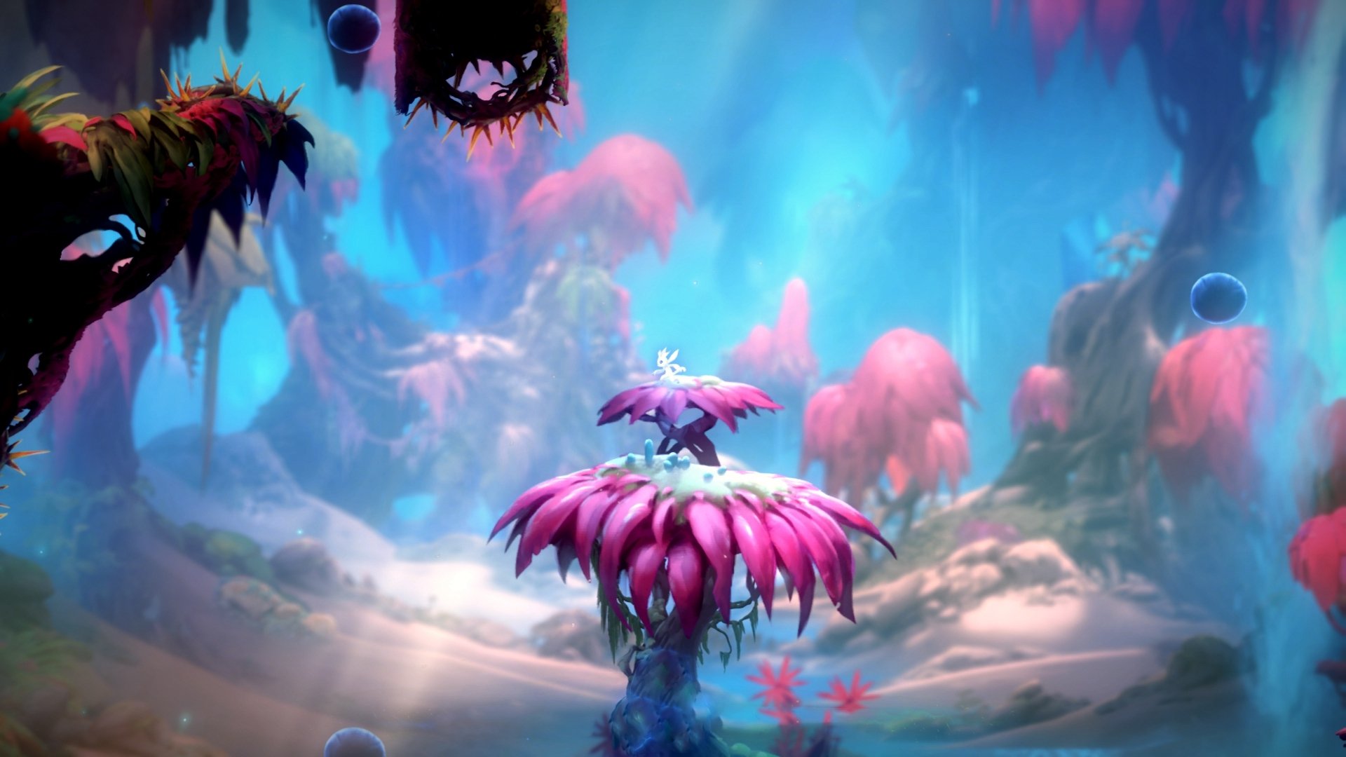 校园马拉松活动组织现状与改进对策研究,开展校园马拉松的意义是什么