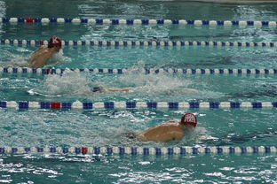 Kaiyun官方登录入口-中国游泳运动员世锦赛接力项目表现抢眼，中国游泳接力夺金