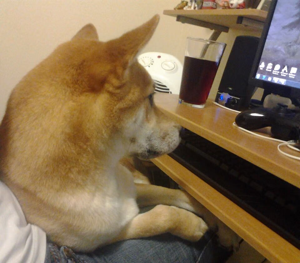 开云入口-足球规则普及教育在基层缺席，足球规则理论课