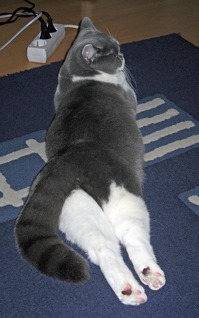 中国篮球探索智能装备辅助提升投篮精准度，篮球训练辅助工具