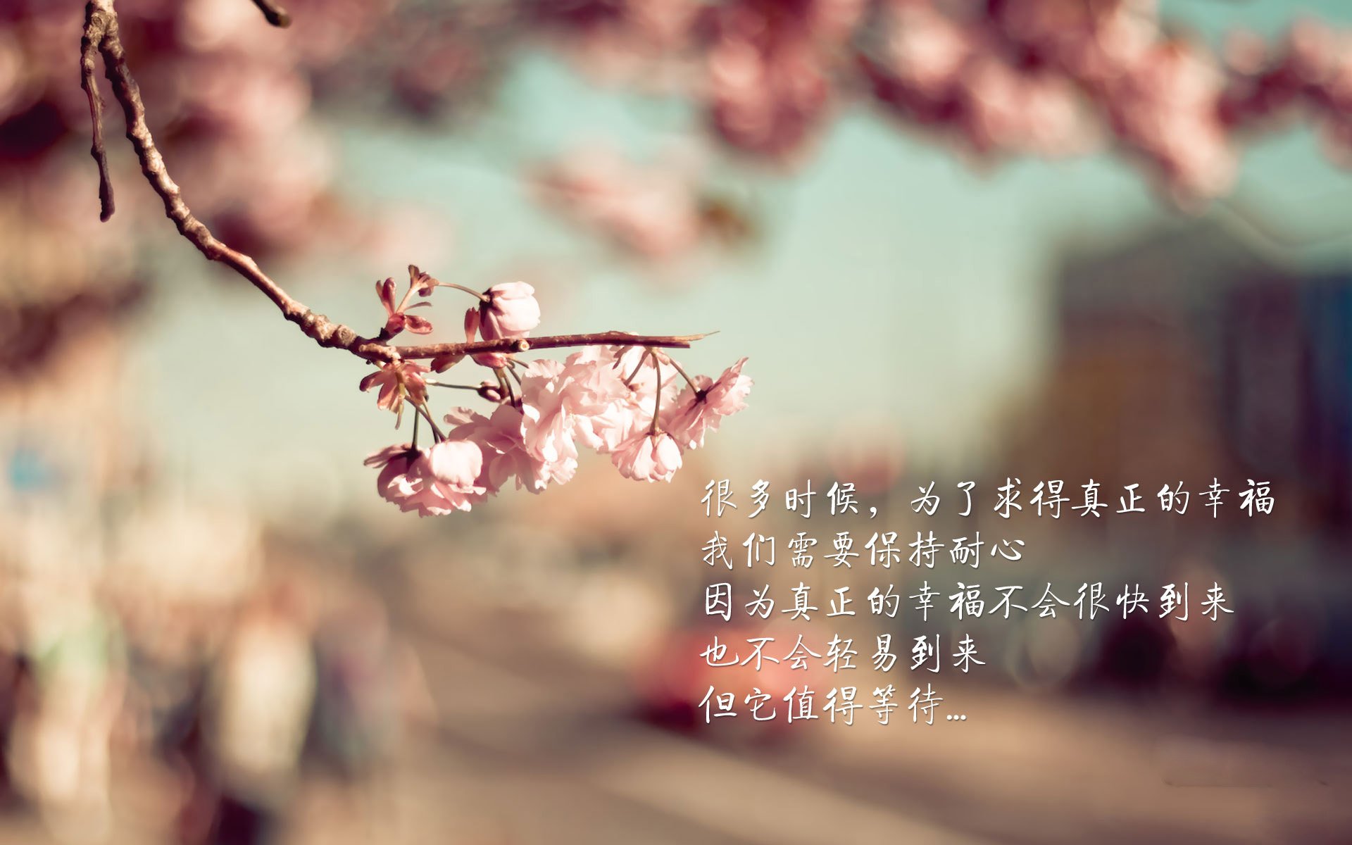 kaiyun官方网站-中国足球职业联赛裁判员选拔流程公开透明，2020年中国足协裁判员注册