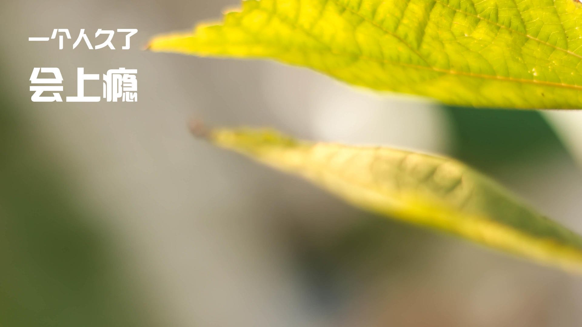 kaiyun中国官方网站-国家体育场地评估中心发布新建体育设施评估标准，体育场地设施资质取消了吗