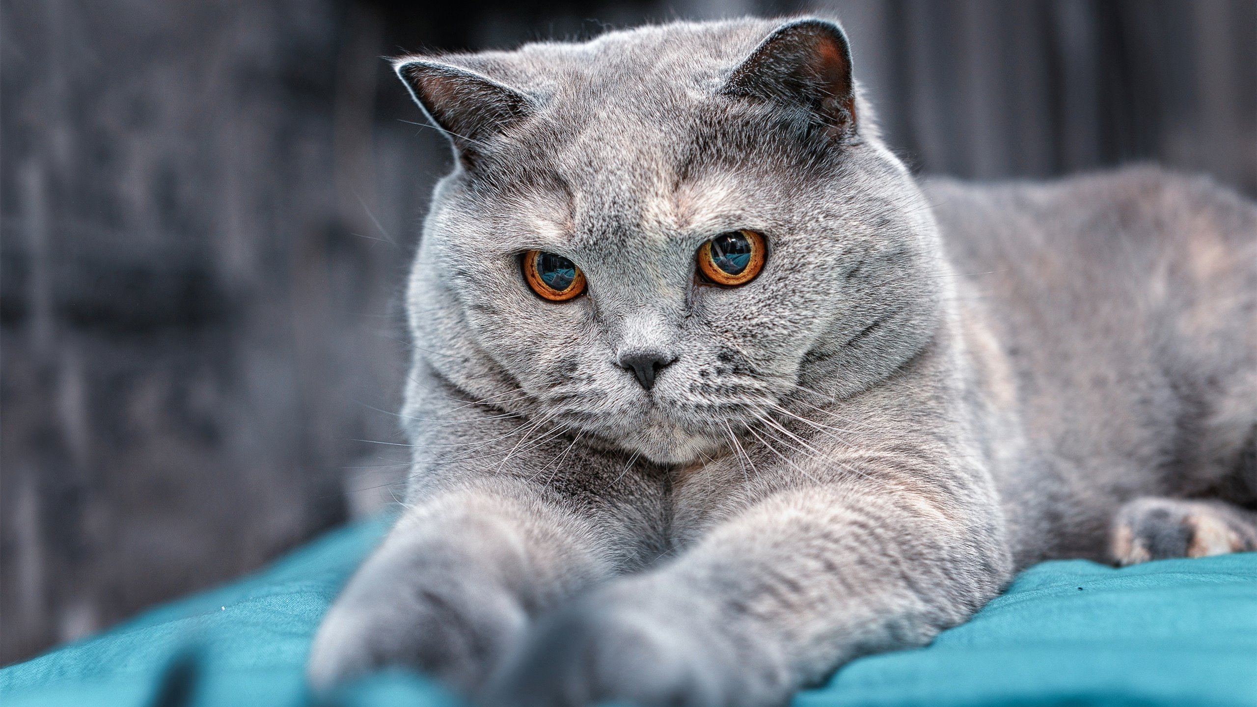 女篮青年队引进跨领域专家加强身体恢复指导,国家青年女子篮球队