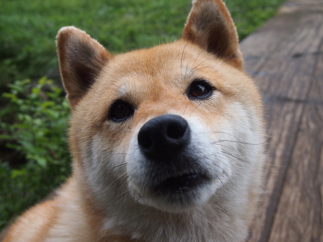 张雨霏完成高强度训练后称状态良好,张雨霏临时上场