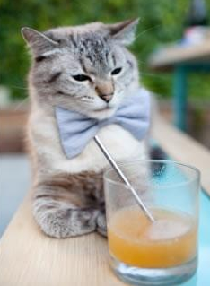 开云官网APP下载-拜仁慕尼黑延续强势，稳坐德甲头把交椅