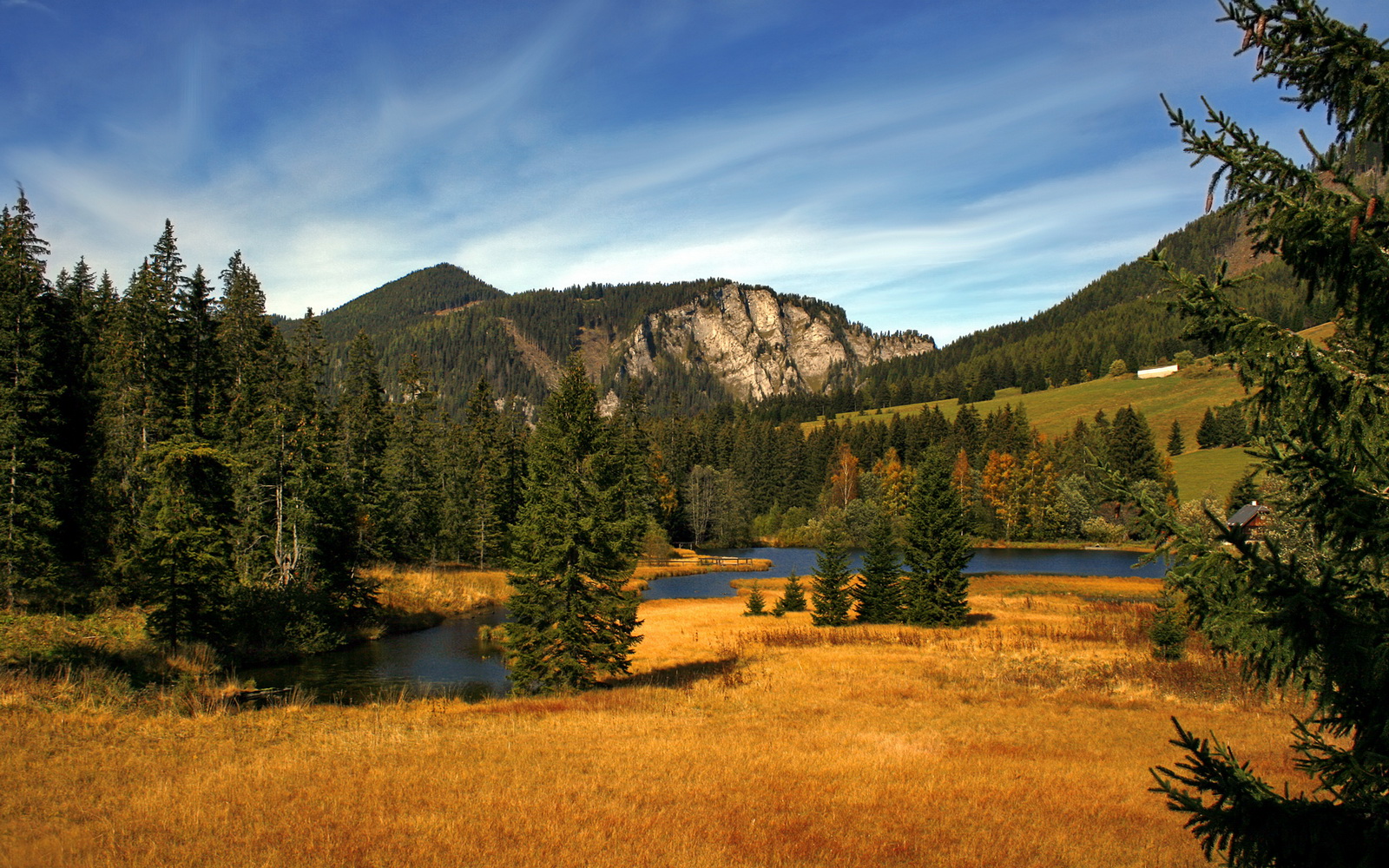 足球门将心理训练方案逐步落地,足球门将训练方法
