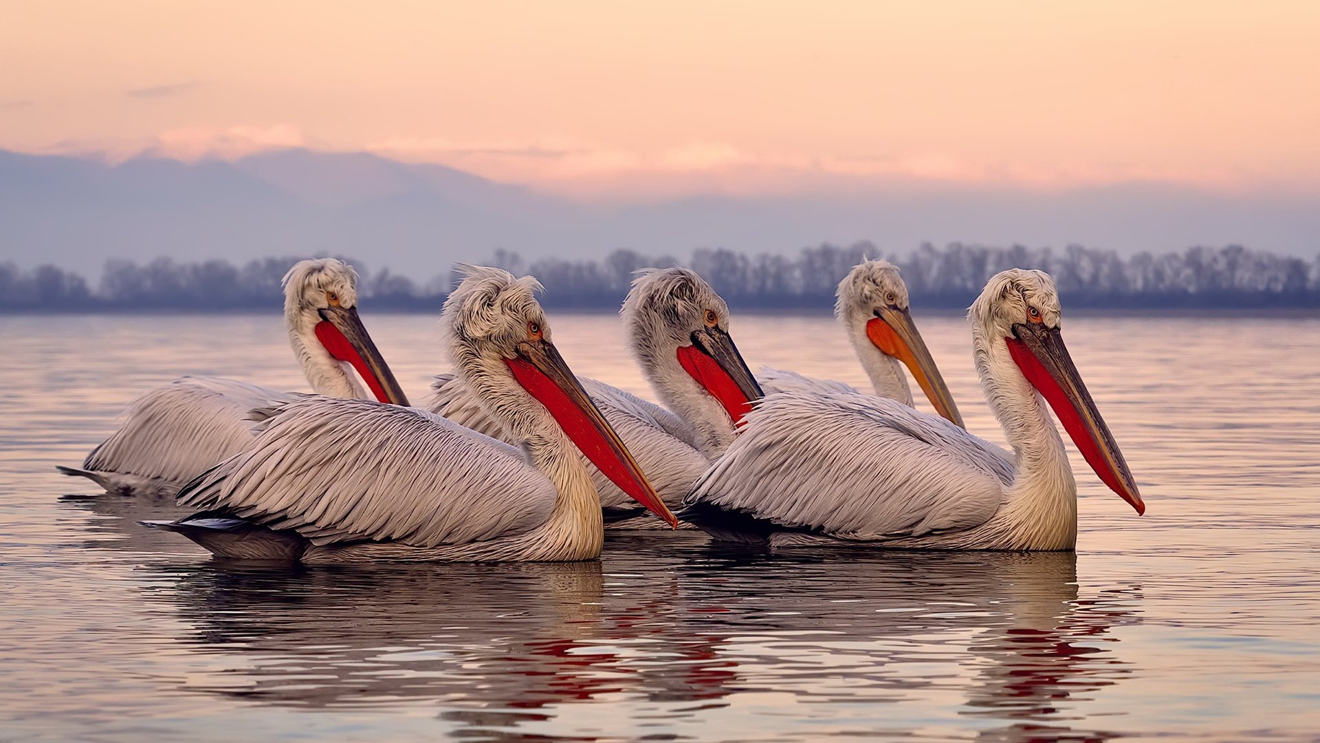 开云·Kaiyun网页版-雷霆组织球员开展语音战术复述训练，雷霆队队训